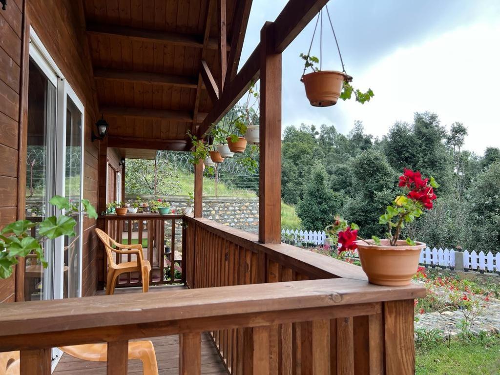 Vanprastha Resorts Dwarahat Ngoại thất bức ảnh