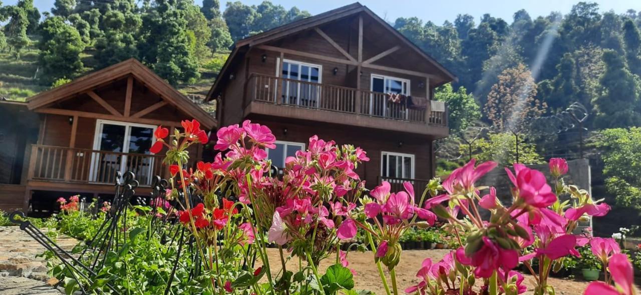 Vanprastha Resorts Dwarahat Ngoại thất bức ảnh