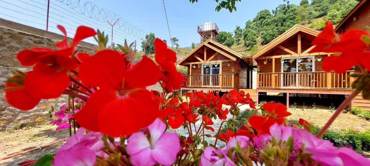 Vanprastha Resorts Dwarahat Ngoại thất bức ảnh
